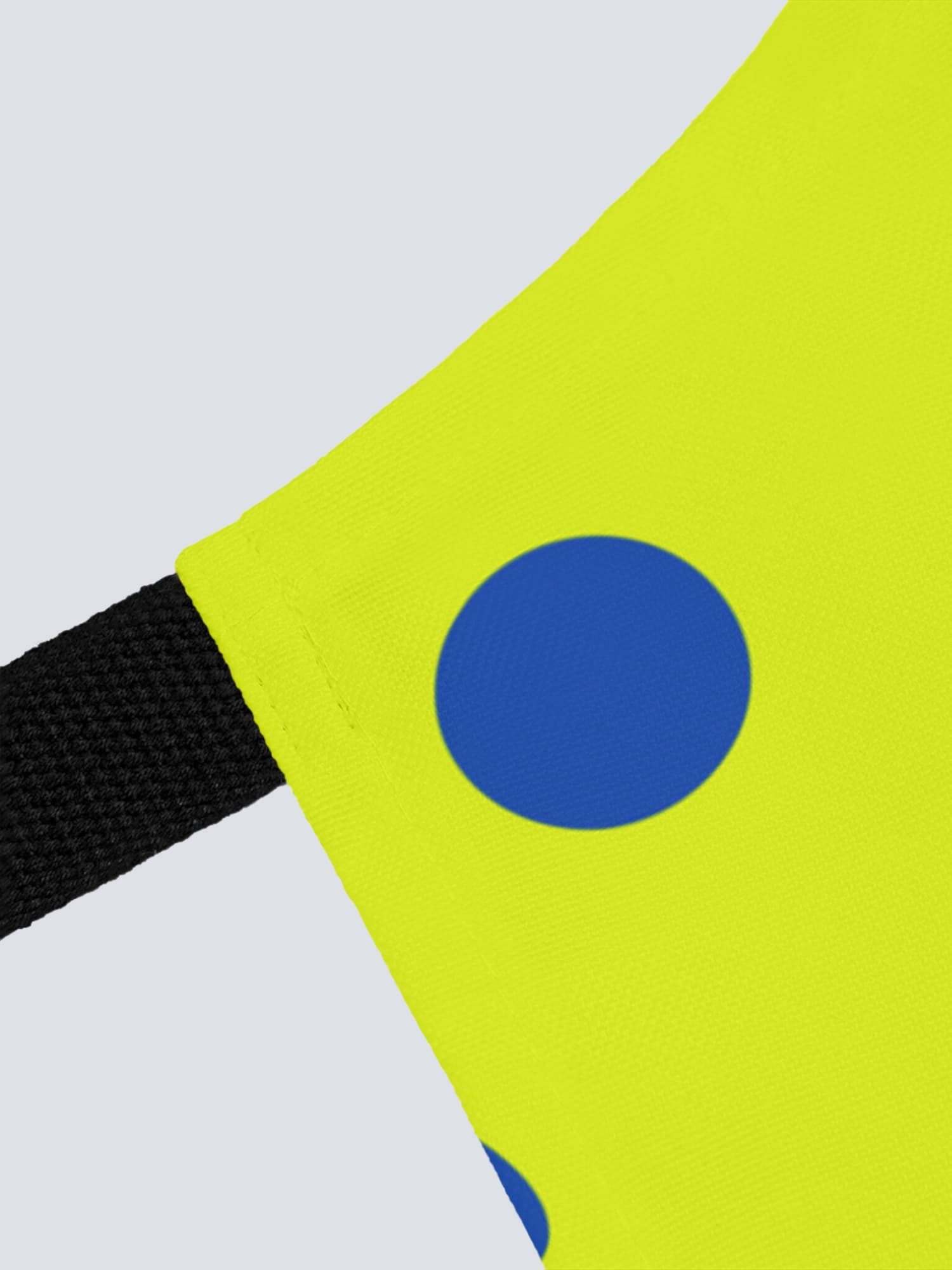 Apron - Pickleballs