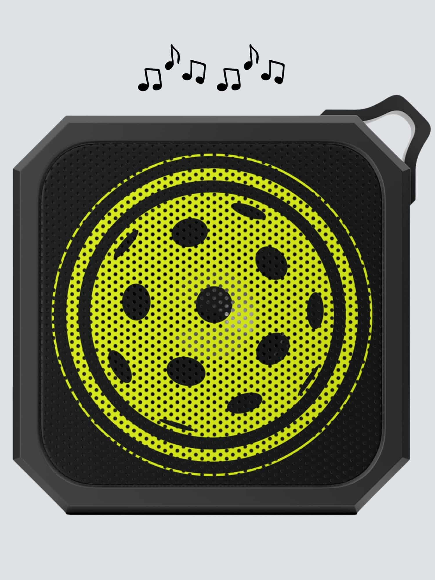 Bluetooth Outdoor Speaker - Pickleball